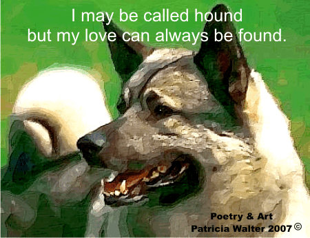 Elkhound - I may be call hounds, but my love can always be found.