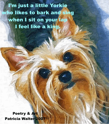 I'm just a little Yorkie who likes to bark and sing, when I sit on your lap, I feel like a king.