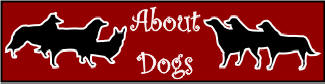 About Dogs featuring many dog stories by Patricia Walter